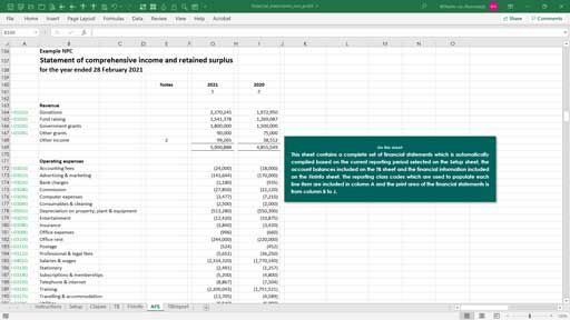 financial statements -  non-profit template