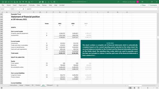 financial statements -  trust template